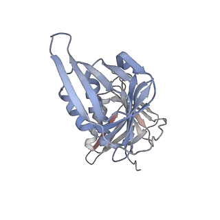26302_7u1p_G_v1-0
RFC:PCNA bound to DNA with a ssDNA gap of five nucleotides