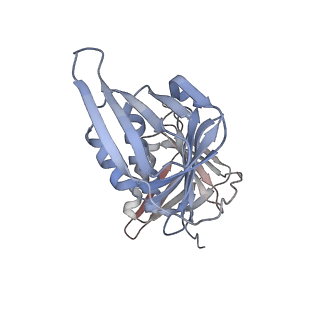 26302_7u1p_G_v1-1
RFC:PCNA bound to DNA with a ssDNA gap of five nucleotides