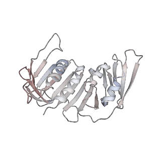 26302_7u1p_H_v1-0
RFC:PCNA bound to DNA with a ssDNA gap of five nucleotides
