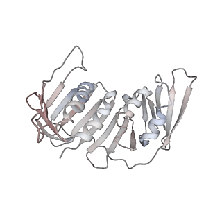 26302_7u1p_H_v1-1
RFC:PCNA bound to DNA with a ssDNA gap of five nucleotides