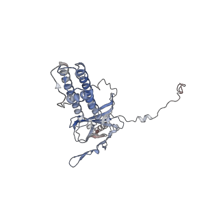 26303_7u1q_A_v1-1
Cryo-EM structure of the pancreatic ATP-sensitive potassium channel bound to ATP and repaglinide with SUR1-in conformation