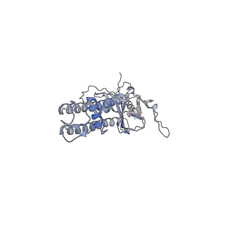26303_7u1q_B_v1-1
Cryo-EM structure of the pancreatic ATP-sensitive potassium channel bound to ATP and repaglinide with SUR1-in conformation
