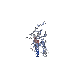 26303_7u1q_C_v1-1
Cryo-EM structure of the pancreatic ATP-sensitive potassium channel bound to ATP and repaglinide with SUR1-in conformation
