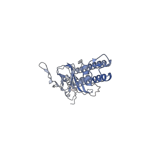 26303_7u1q_D_v1-1
Cryo-EM structure of the pancreatic ATP-sensitive potassium channel bound to ATP and repaglinide with SUR1-in conformation