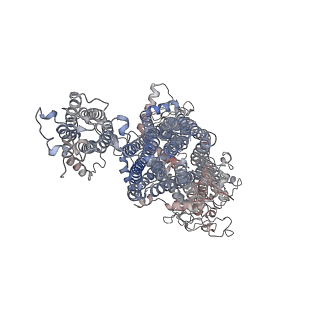 26303_7u1q_E_v1-1
Cryo-EM structure of the pancreatic ATP-sensitive potassium channel bound to ATP and repaglinide with SUR1-in conformation