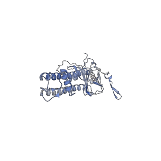 26304_7u1s_B_v1-1
Cryo-EM structure of the pancreatic ATP-sensitive potassium channel bound to ATP and repaglinide with SUR1-out conformation