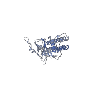 26304_7u1s_D_v1-1
Cryo-EM structure of the pancreatic ATP-sensitive potassium channel bound to ATP and repaglinide with SUR1-out conformation