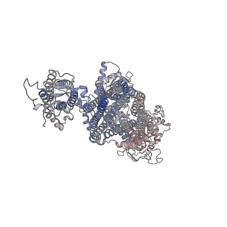 26304_7u1s_E_v1-1
Cryo-EM structure of the pancreatic ATP-sensitive potassium channel bound to ATP and repaglinide with SUR1-out conformation