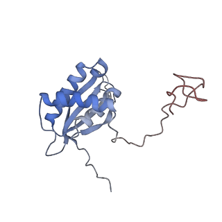 26305_7u1t_A_v1-0
EBNA1 DNA binding domain (401-641) binds to half Dyad Symmetry element