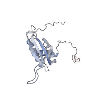 26305_7u1t_B_v1-0
EBNA1 DNA binding domain (401-641) binds to half Dyad Symmetry element