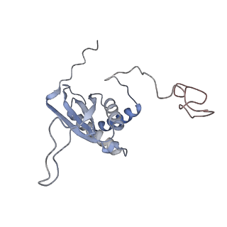 26305_7u1t_C_v1-0
EBNA1 DNA binding domain (401-641) binds to half Dyad Symmetry element