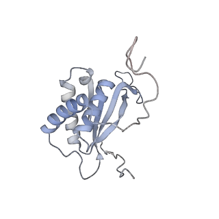 26305_7u1t_D_v1-0
EBNA1 DNA binding domain (401-641) binds to half Dyad Symmetry element