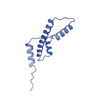 41800_8u13_A_v1-1
Cryo-EM structure of the human nucleosome core particle ubiquitylated at histone H2A lysine 15 in complex with RNF168-UbcH5c (class 1)
