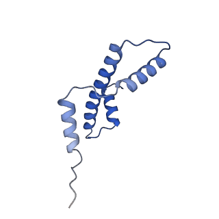 41800_8u13_A_v1-2
Cryo-EM structure of the human nucleosome core particle ubiquitylated at histone H2A lysine 15 in complex with RNF168-UbcH5c (class 1)