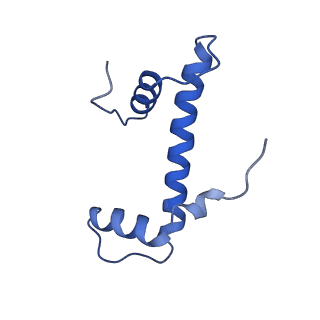 41800_8u13_B_v1-2
Cryo-EM structure of the human nucleosome core particle ubiquitylated at histone H2A lysine 15 in complex with RNF168-UbcH5c (class 1)