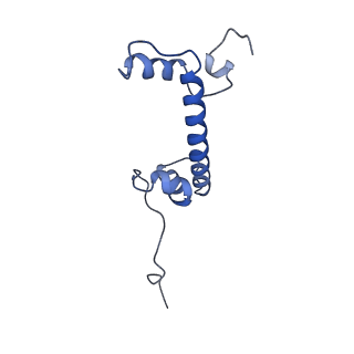 41800_8u13_C_v1-1
Cryo-EM structure of the human nucleosome core particle ubiquitylated at histone H2A lysine 15 in complex with RNF168-UbcH5c (class 1)