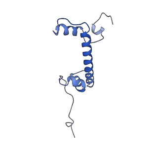 41800_8u13_C_v1-2
Cryo-EM structure of the human nucleosome core particle ubiquitylated at histone H2A lysine 15 in complex with RNF168-UbcH5c (class 1)