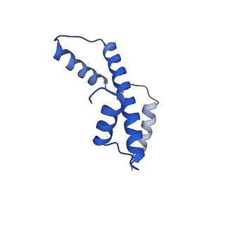 41800_8u13_E_v1-1
Cryo-EM structure of the human nucleosome core particle ubiquitylated at histone H2A lysine 15 in complex with RNF168-UbcH5c (class 1)