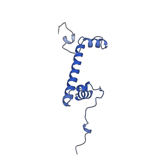 41800_8u13_G_v1-1
Cryo-EM structure of the human nucleosome core particle ubiquitylated at histone H2A lysine 15 in complex with RNF168-UbcH5c (class 1)