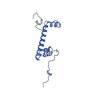 41800_8u13_G_v1-2
Cryo-EM structure of the human nucleosome core particle ubiquitylated at histone H2A lysine 15 in complex with RNF168-UbcH5c (class 1)