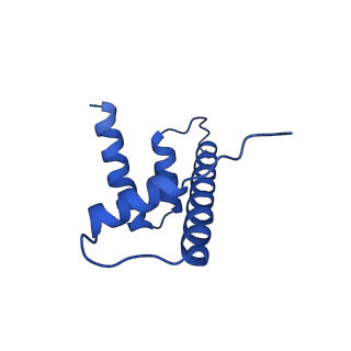 41800_8u13_H_v1-2
Cryo-EM structure of the human nucleosome core particle ubiquitylated at histone H2A lysine 15 in complex with RNF168-UbcH5c (class 1)