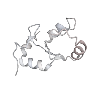 41800_8u13_K_v1-2
Cryo-EM structure of the human nucleosome core particle ubiquitylated at histone H2A lysine 15 in complex with RNF168-UbcH5c (class 1)