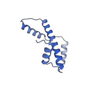 41801_8u14_A_v1-1
Cryo-EM structure of the human nucleosome core particle ubiquitylated at histone H2A lysine 15 in complex with RNF168-UbcH5c (class 2)