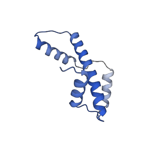 41801_8u14_A_v1-2
Cryo-EM structure of the human nucleosome core particle ubiquitylated at histone H2A lysine 15 in complex with RNF168-UbcH5c (class 2)