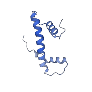 41801_8u14_B_v1-2
Cryo-EM structure of the human nucleosome core particle ubiquitylated at histone H2A lysine 15 in complex with RNF168-UbcH5c (class 2)