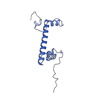 41801_8u14_C_v1-1
Cryo-EM structure of the human nucleosome core particle ubiquitylated at histone H2A lysine 15 in complex with RNF168-UbcH5c (class 2)