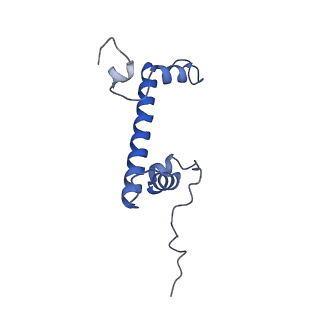 41801_8u14_C_v1-2
Cryo-EM structure of the human nucleosome core particle ubiquitylated at histone H2A lysine 15 in complex with RNF168-UbcH5c (class 2)