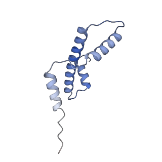 41801_8u14_E_v1-2
Cryo-EM structure of the human nucleosome core particle ubiquitylated at histone H2A lysine 15 in complex with RNF168-UbcH5c (class 2)