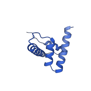 41801_8u14_H_v1-2
Cryo-EM structure of the human nucleosome core particle ubiquitylated at histone H2A lysine 15 in complex with RNF168-UbcH5c (class 2)