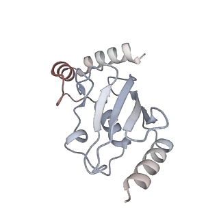 41801_8u14_L_v1-1
Cryo-EM structure of the human nucleosome core particle ubiquitylated at histone H2A lysine 15 in complex with RNF168-UbcH5c (class 2)