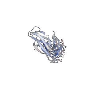 41805_8u18_A_v1-1
Cryo-EM structure of murine Thrombopoietin receptor ectodomain in complex with Tpo
