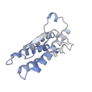 41805_8u18_C_v1-1
Cryo-EM structure of murine Thrombopoietin receptor ectodomain in complex with Tpo