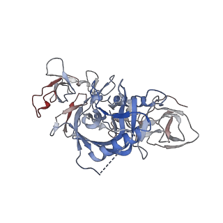 41810_8u1d_A_v1-0
Cryo-EM structure of vaccine-elicited CD4 binding site antibody DH1285 bound to HIV-1 CH505TFchim.6R.SOSIP.664v4.1 Env Local Refinement