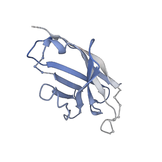 41810_8u1d_I_v1-0
Cryo-EM structure of vaccine-elicited CD4 binding site antibody DH1285 bound to HIV-1 CH505TFchim.6R.SOSIP.664v4.1 Env Local Refinement