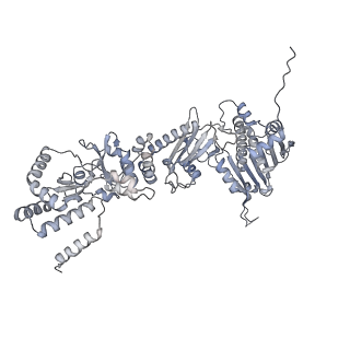 41816_8u1l_A_v1-0
Cryo-EM structure of the RAF1-HSP90-CDC37 complex in the closed state