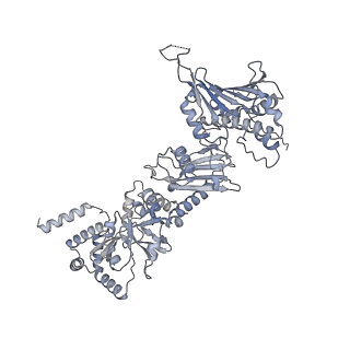 41816_8u1l_B_v1-0
Cryo-EM structure of the RAF1-HSP90-CDC37 complex in the closed state