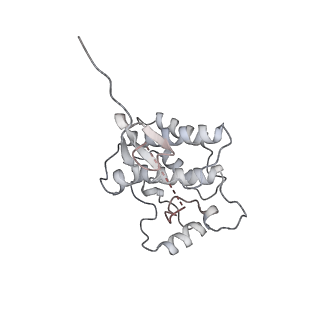 41816_8u1l_C_v1-0
Cryo-EM structure of the RAF1-HSP90-CDC37 complex in the closed state