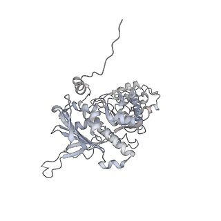 41817_8u1m_A_v1-0
Cryo-EM structure of the HSP90 dimer (NTD-MD) in the semi-open state