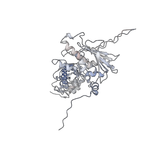 41817_8u1m_B_v1-0
Cryo-EM structure of the HSP90 dimer (NTD-MD) in the semi-open state