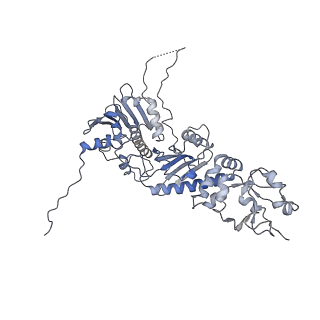 41818_8u1n_B_v1-0
Cryo-EM structure of the cross-linked HSP90 dimer (NTD-MD) in the semi-open state