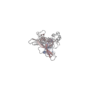 41819_8u1o_o_v1-1
In situ cryo-EM structure of bacteriophage P22 tailspike protein complex at 3.4A resolution