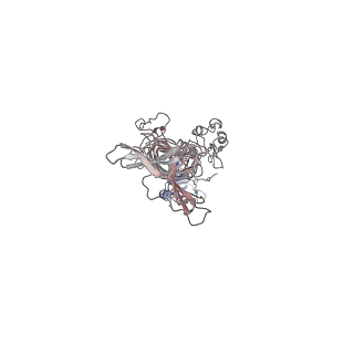 41819_8u1o_o_v1-2
In situ cryo-EM structure of bacteriophage P22 tailspike protein complex at 3.4A resolution