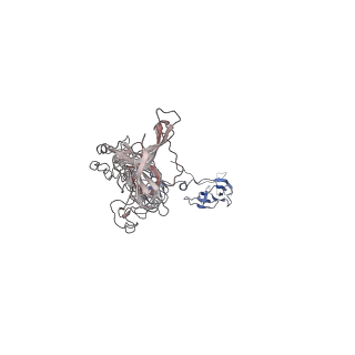 41819_8u1o_q_v1-1
In situ cryo-EM structure of bacteriophage P22 tailspike protein complex at 3.4A resolution