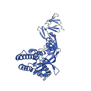 41825_8u1r_A_v1-0
Prefusion-stabilized Langya virus F protein, variant G99C/I109C
