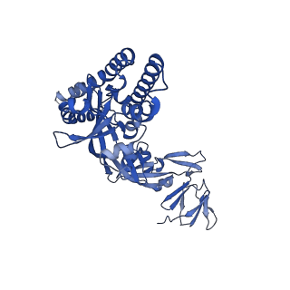 41825_8u1r_B_v1-0
Prefusion-stabilized Langya virus F protein, variant G99C/I109C