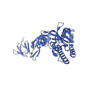 41825_8u1r_C_v1-0
Prefusion-stabilized Langya virus F protein, variant G99C/I109C